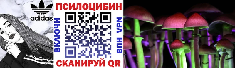 Псилоцибиновые грибы прущие грибы  Купить  Шали 